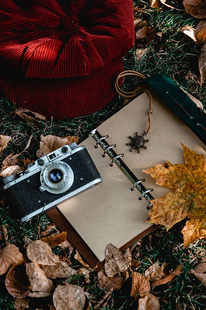 A camera and an open notebook are surrounded by fall leaves.