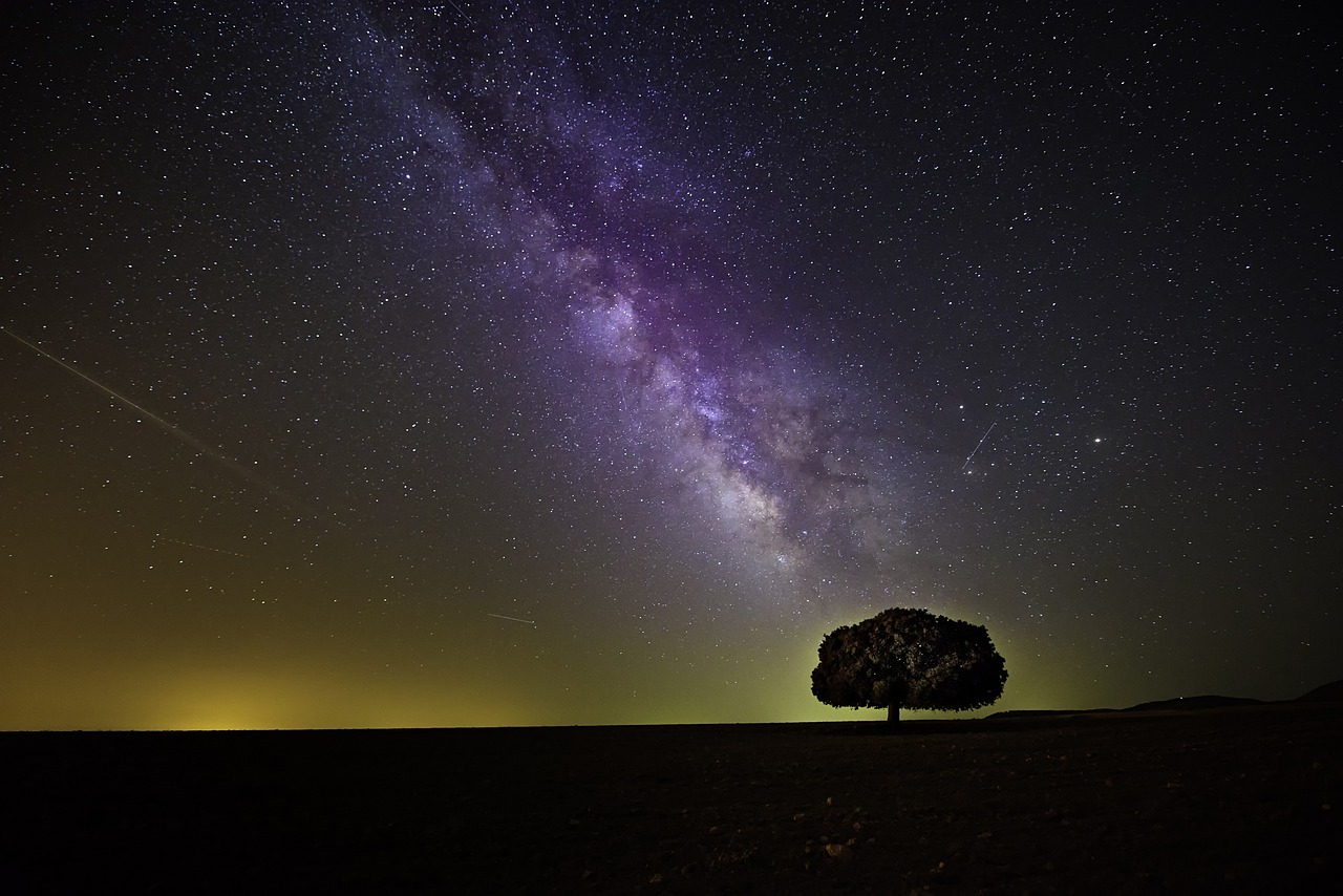 The Milky Way is visible in a moonless night sky. The waning glow of the suns rays are barely visible on the horizon. A single tree is silhouetted in the darkness.