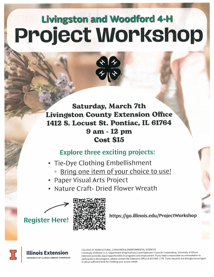 Flyer for 4-H project workshop on March 7th.