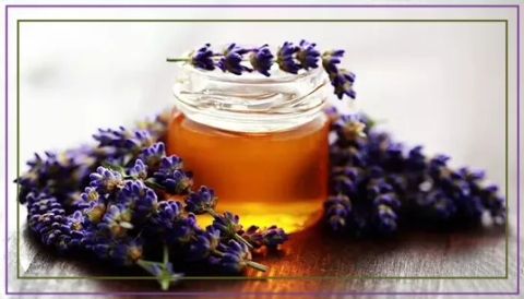 A small jar of honey surrounded by sprigs of fresh lavender.