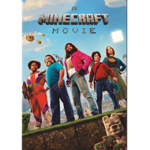 Minecraft characters in the Minecraft world